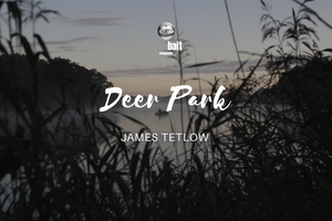 03 | Deer Park | James Tetlow