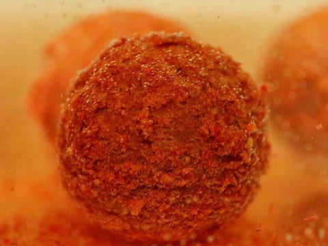 Hot Shrimp Hookbaits SS (Soluble Skin)