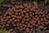 Hot Shrimp Boilies