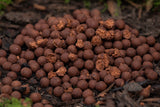 Hot Shrimp Boilies
