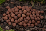 Hot Shrimp Boilies