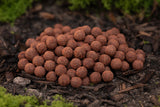 Hot Shrimp Boilies SS (Soluble Skin)