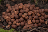 Hot Shrimp Boilies